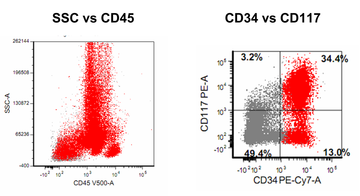 Flow cytometric immunophenotypic findings with increased blasts positive for CD34 and CD117